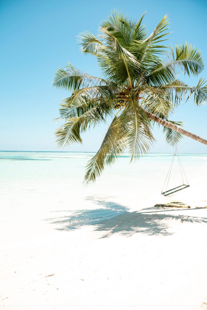 Palme am Strand LUX* South Ari Atoll
